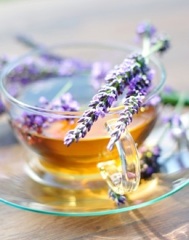Lavender tea L2
